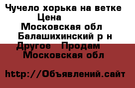 Чучело хорька на ветке › Цена ­ 3 000 - Московская обл., Балашихинский р-н Другое » Продам   . Московская обл.